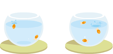 1-480x480